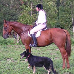 Meet your Posher, Beth